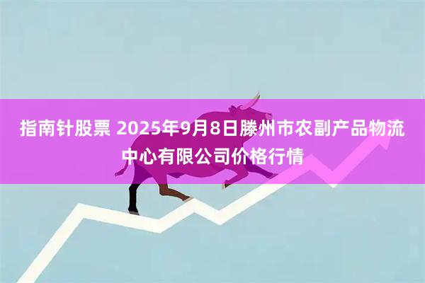 指南针股票 2025年9月8日滕州市农副产品物流中心有限公司价格行情