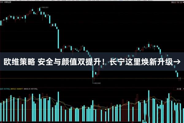 欧维策略 安全与颜值双提升！长宁这里焕新升级→