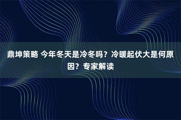 鼎坤策略 今年冬天是冷冬吗？冷暖起伏大是何原因？专家解读