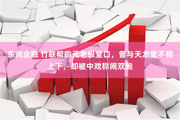 东润金融 竹联帮的元老级堂口，曾与天龙堂不相上下，却被中戏称闹双胞